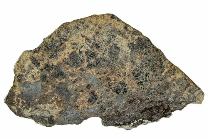 Polished Diogenite Meteorite ( g) Slice - NWA #301055
